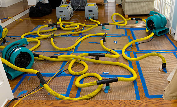 Professional Flood Damage Restoration technician working in Gillett, WI